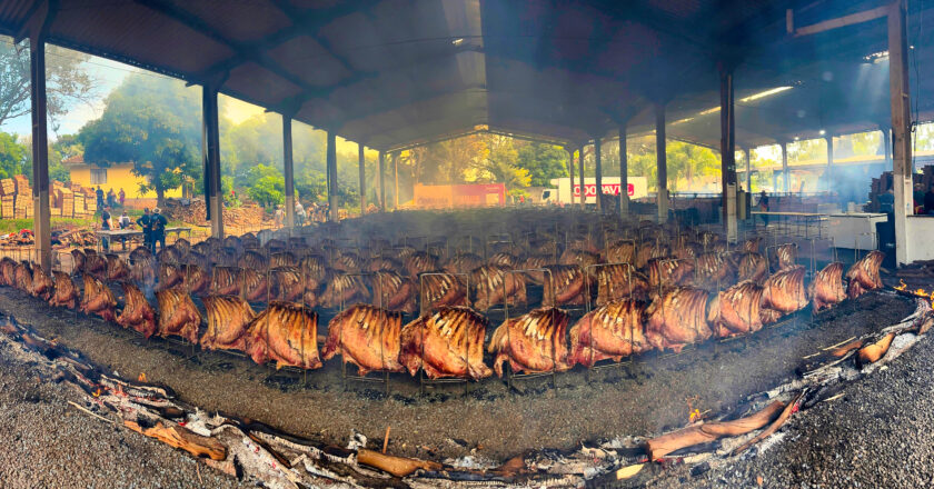 Festa do Trabalhador em São José: Da tradição das tinas de madeira ao recorde do maior costelão global