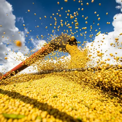 Conflito entre governo e setor agropecuário se intensifica em semana decisiva de votação