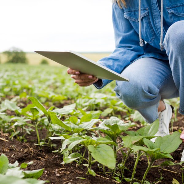 O futuro da fertilização agrícola e as tendências que devem marcar o setor, na visão de Cauê Lopes Martins