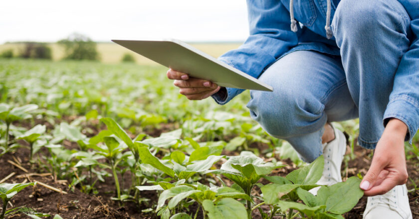 O futuro da fertilização agrícola e as tendências que devem marcar o setor, na visão de Cauê Lopes Martins