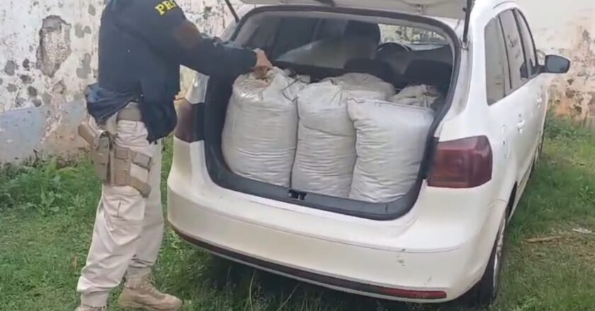 PRF captura quase 300 quilos de entorpecentes e detém suspeito em Laranjeiras do Sul