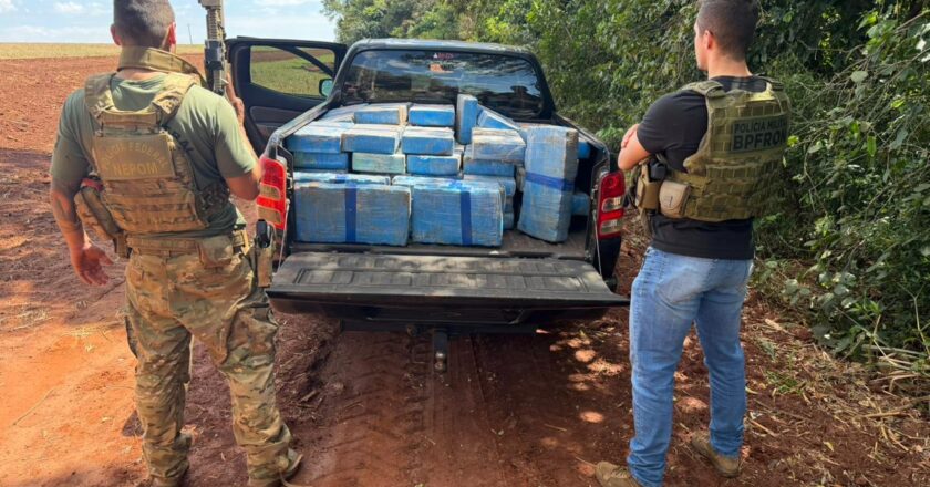 Polícia descobre mais de 600 kg de maconha em floresta de Guaíra